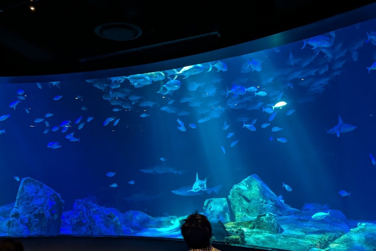 New York Aquarium - Gallery Image 1